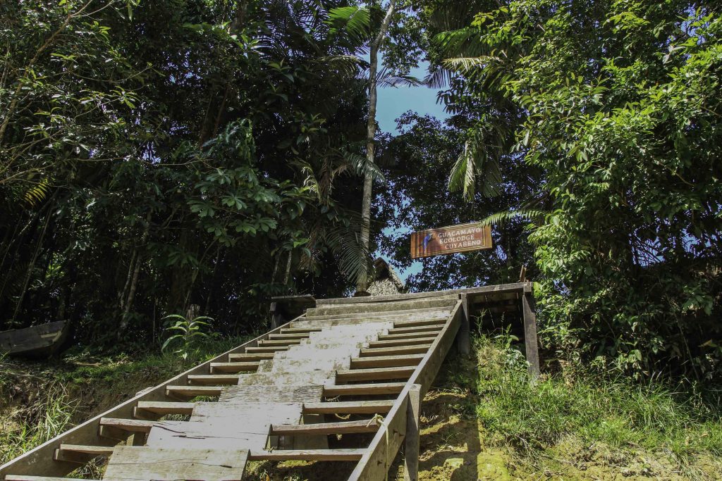 Eingang zur Guacamayo Ecolodge im Dschungel von Ecuador