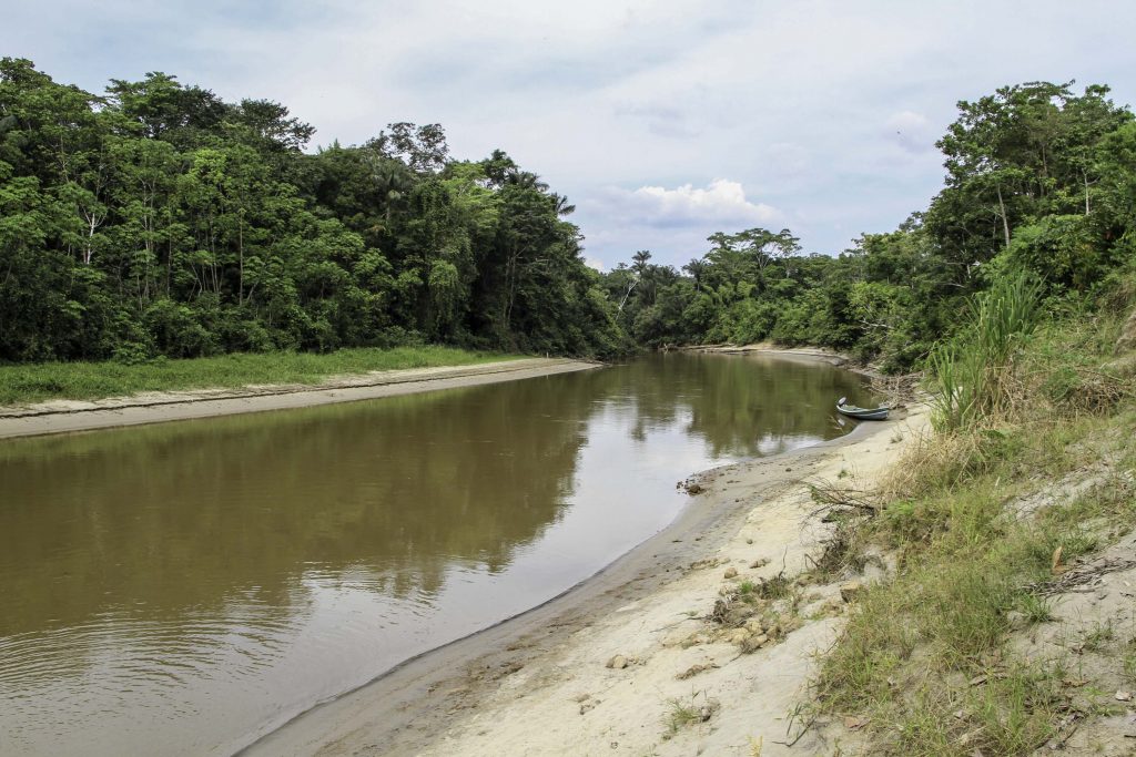 Fluss Cuyabeno im Regenwald von Ecuador