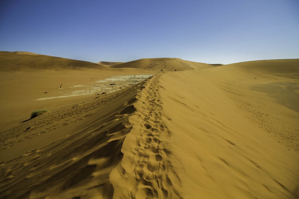 Düne im Sossusvlei während einer Rundreise durch Namibia