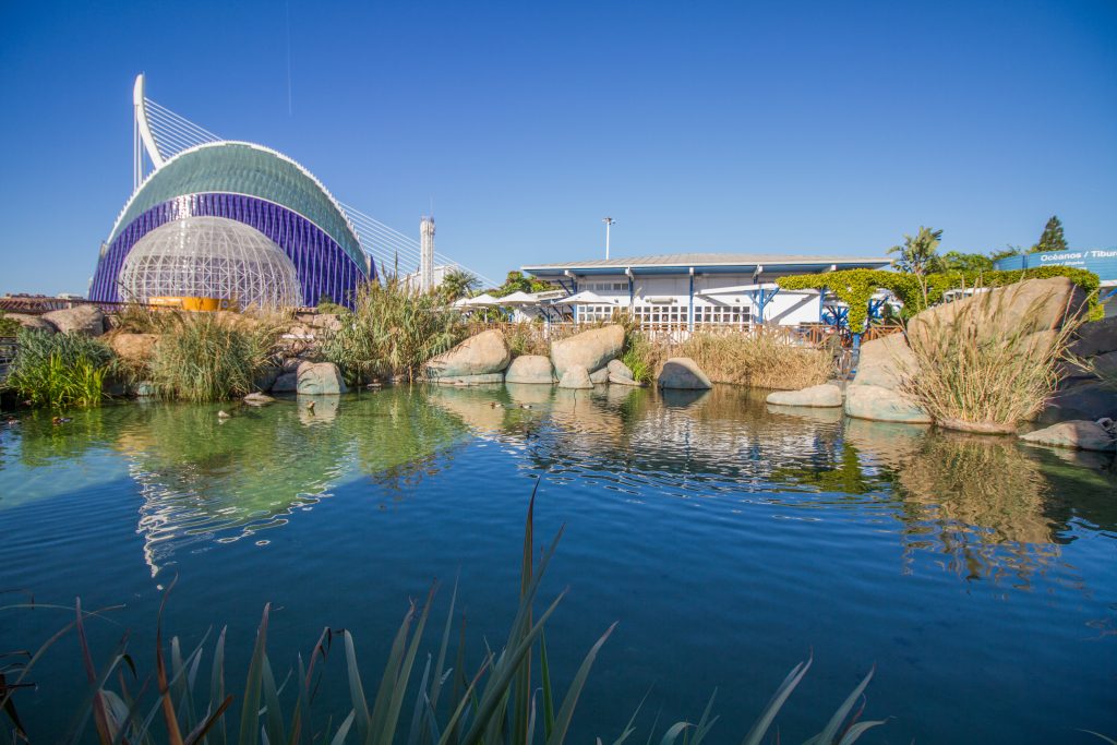 Das Oceanográfic in Valencia, Europas größtes Aquarium, ein Ziel für Familien auf einer Reise nach Valencia mit Baby und Kleinkind
