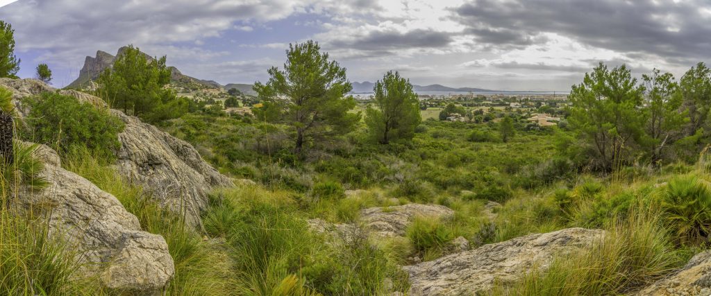 Fotos von Mallorca: Landschaft bei Puerto de Pollensa
