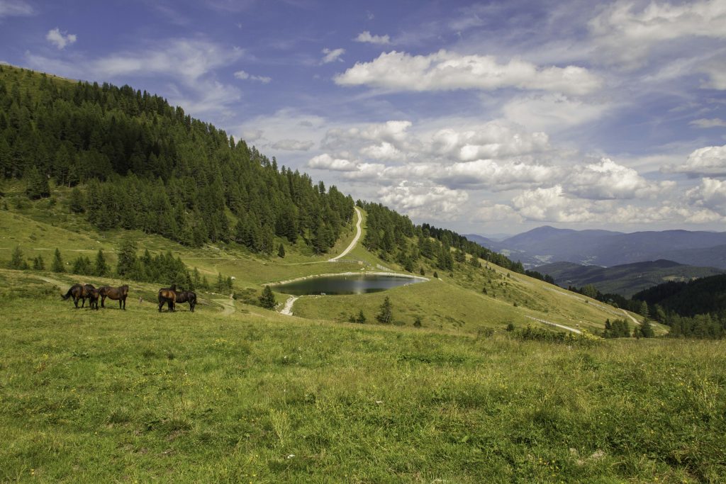Berglandschaft in Österreich mit Pferden