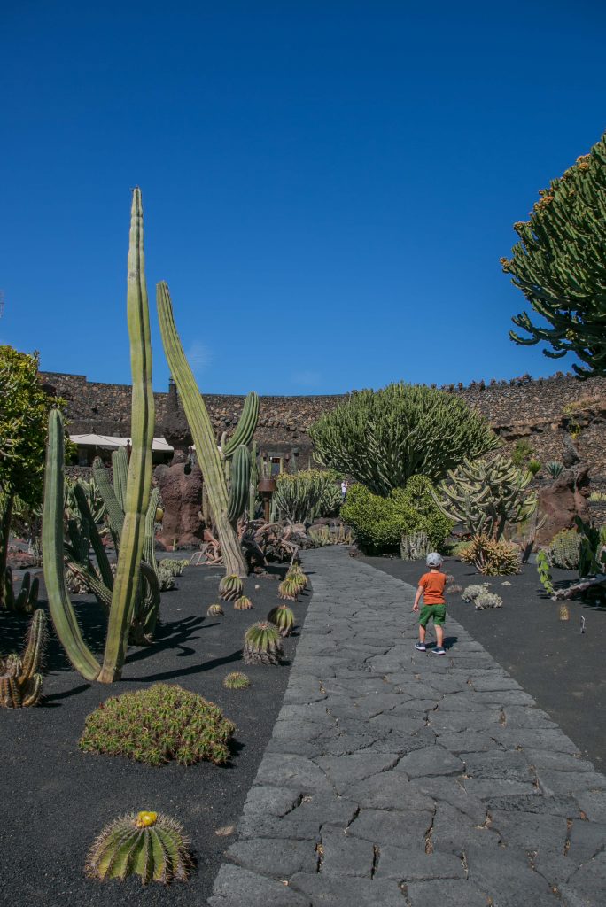 Ausflug auf Lanzarote mit Kleinkind: Jardín de Cactus