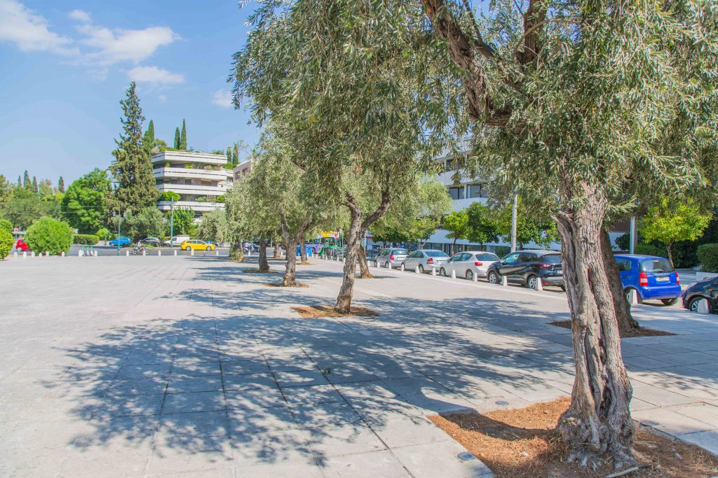 Zentrum von Athen mit Olivenbäumen und parkenden Autos